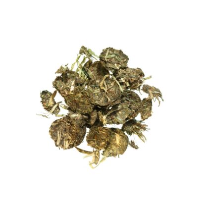 Agrobs Proben MYO PROTEIN Flakes*