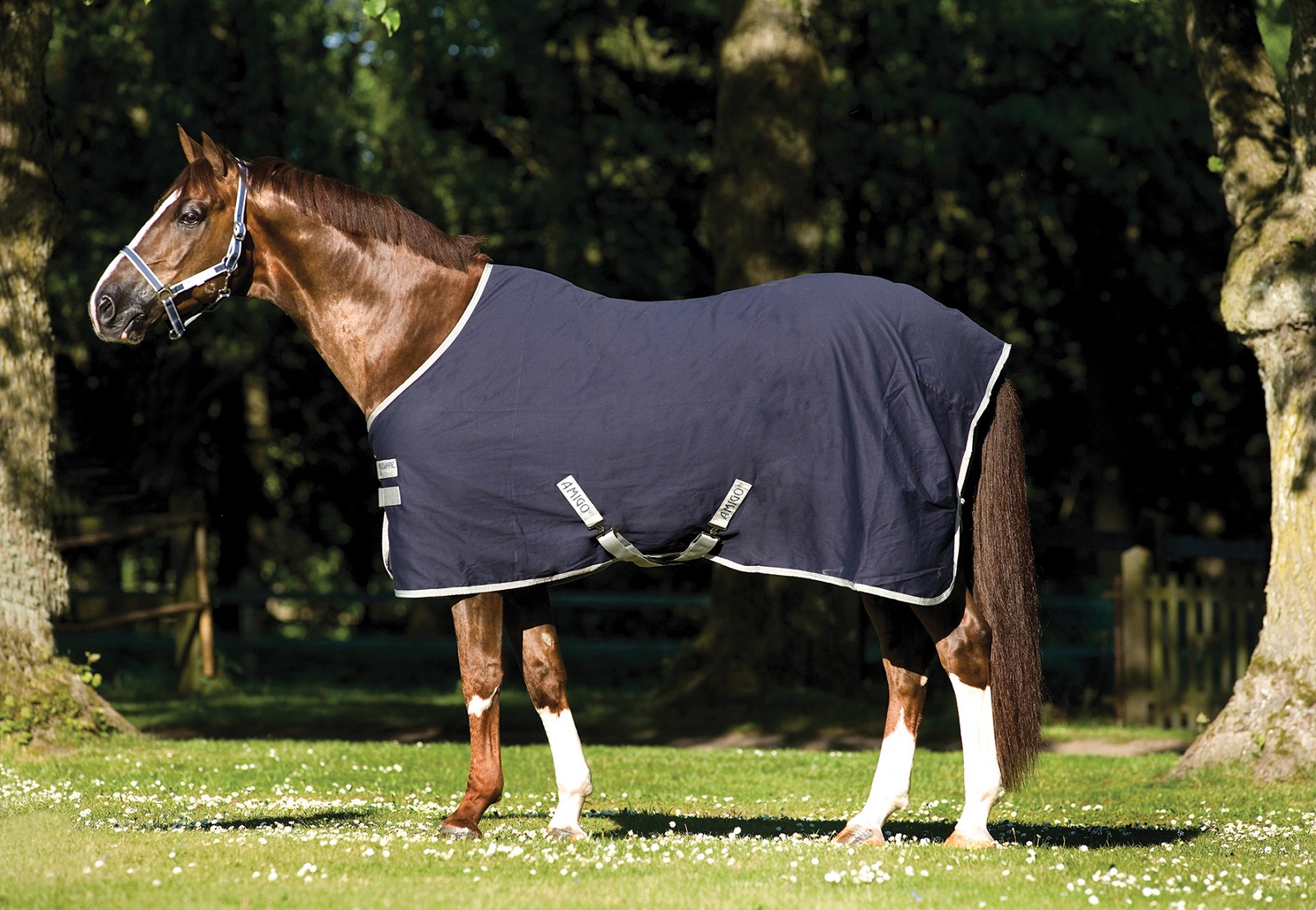Amigo Stable Sheet *