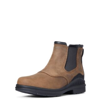 Ariat Barnyard Twin Gore II Outdoorschuh Herren*