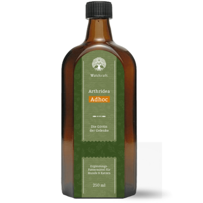 Arthridea Adhoc - Die schnelle Gelenkunterstützung - 250ml *