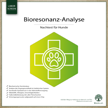 Bioresonanz-Analyse Hund Nachtest *