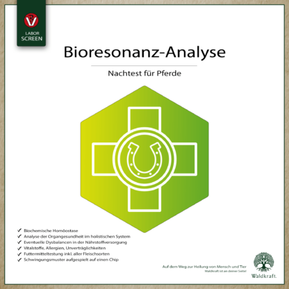 Bioresonanz-Analyse Pferd Nachtest *