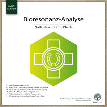 Bioresonanz-Analyse Pferde Notfall-Nachtest *