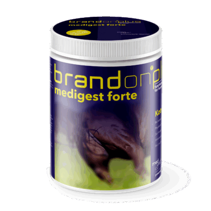 Brandon plus medigest forte 1kg*