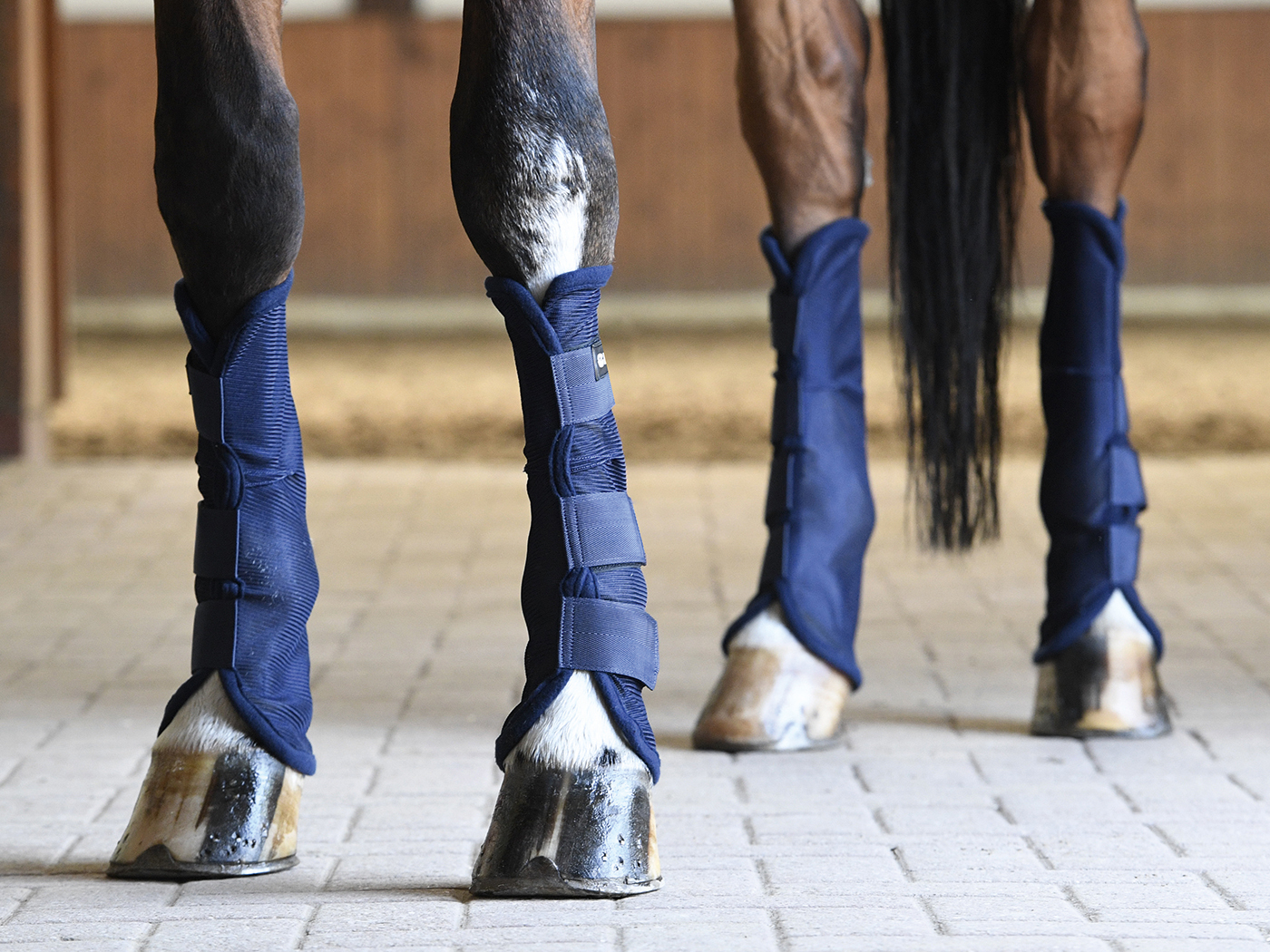 Busse FliegenGamaschen COMFORT II*