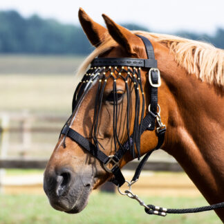 Busse Fliegenfransen  EXKLUSIV*