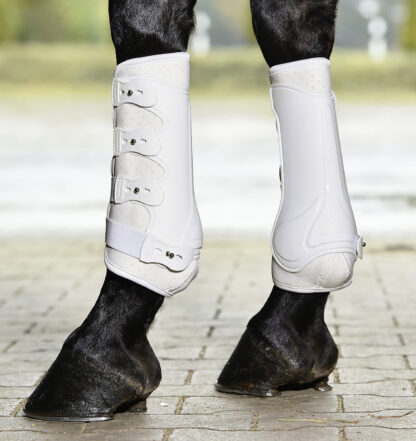 Busse Gamaschen DRESSAGEPRO*