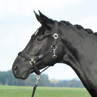 Busse Halfter SUPREME*