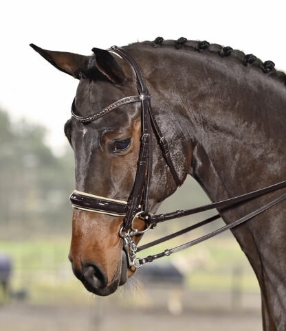 Busse Kandare LUXURY*