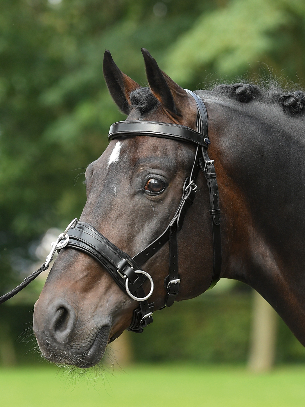 Busse Kappzaum FIT PRO*