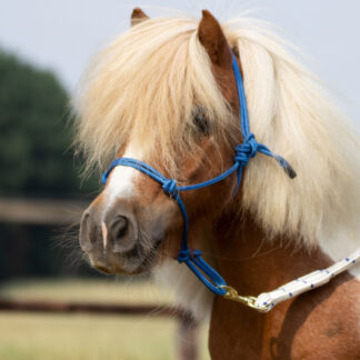 Busse Knotenhalfter SMOOTH II*