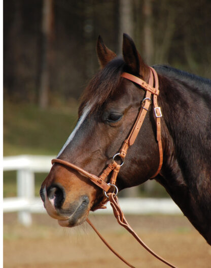 Busse Sidepull HARNESS*