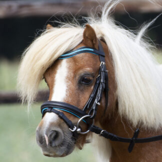 Busse Trense LITTLE*