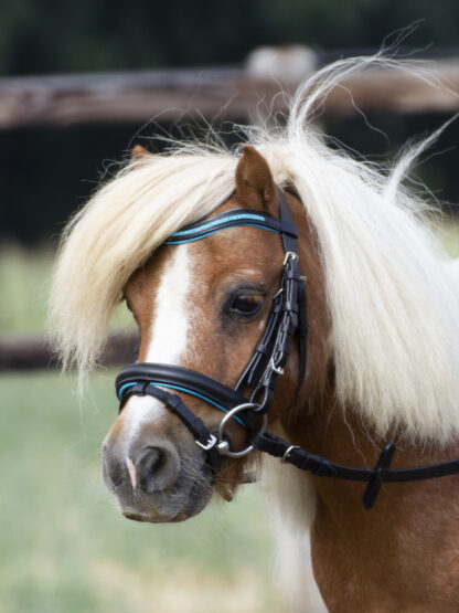 Busse Trense LITTLE*