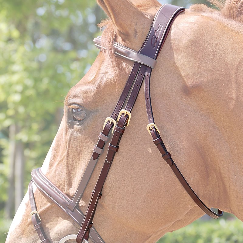 Dyon Anatomisches Genickstück*