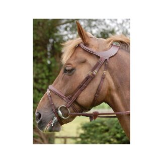 Dyon DCollection Trense Difference anatomisch*