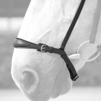 Dyon Hannoveraner Reithalfter EdelstahlBeschläge*