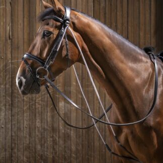 Eric Thomas Pro Chambon *