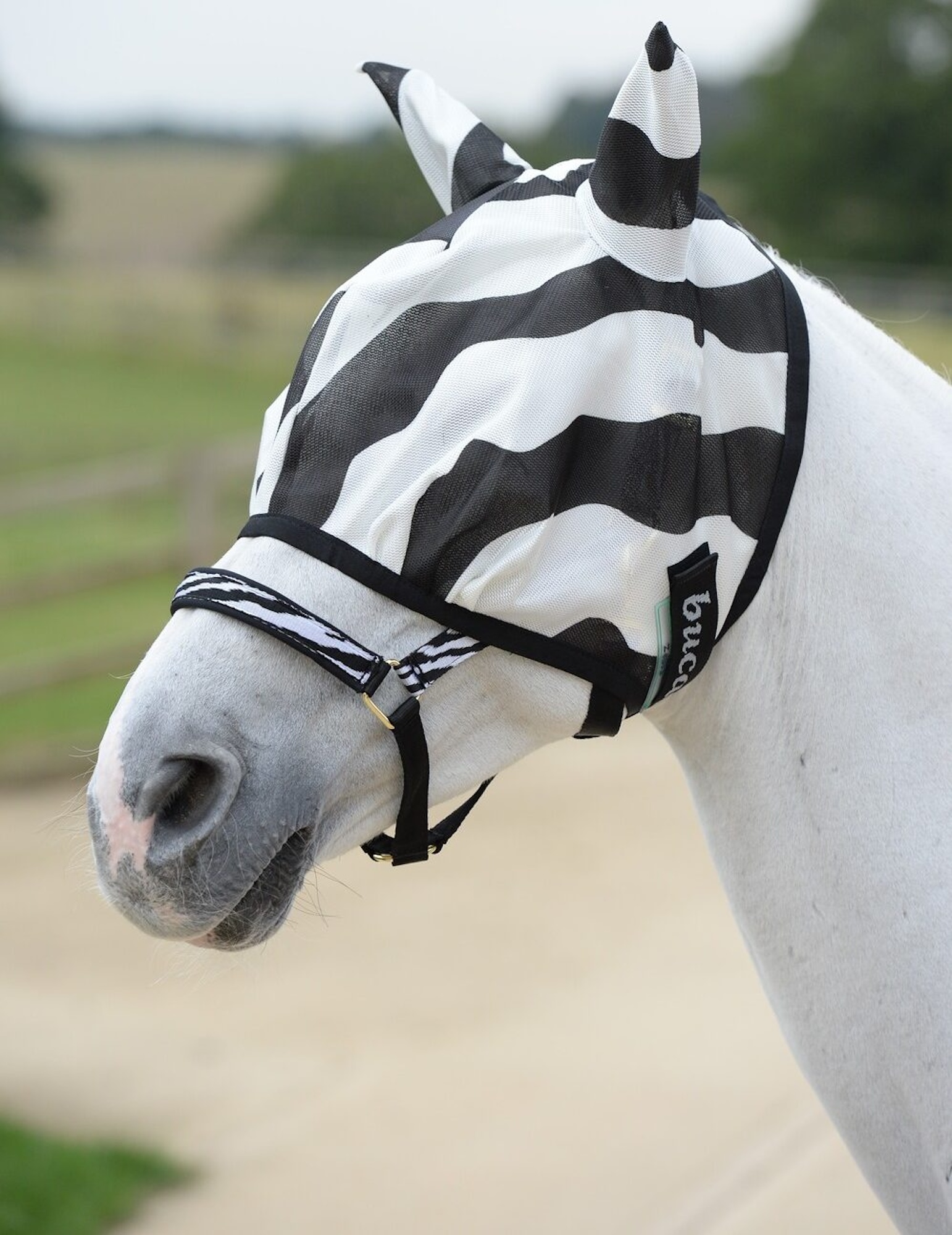 Fliegenmaske Buzz-Off Zebra *