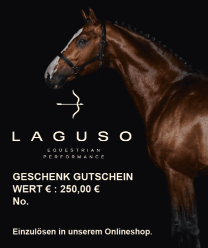 Geschenkgutschein 250,00 € *