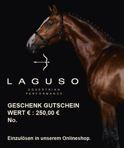 Geschenkgutschein 250,00 € *