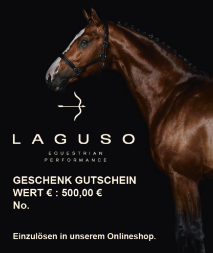 Geschenkgutschein 500,00 € *