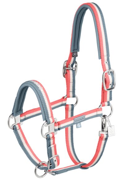 Halfter Double Pin Classic Sports 25 F/S *