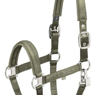 Halfter Mattgloss Jewel Double Pin Classic Sports 25 F/S *