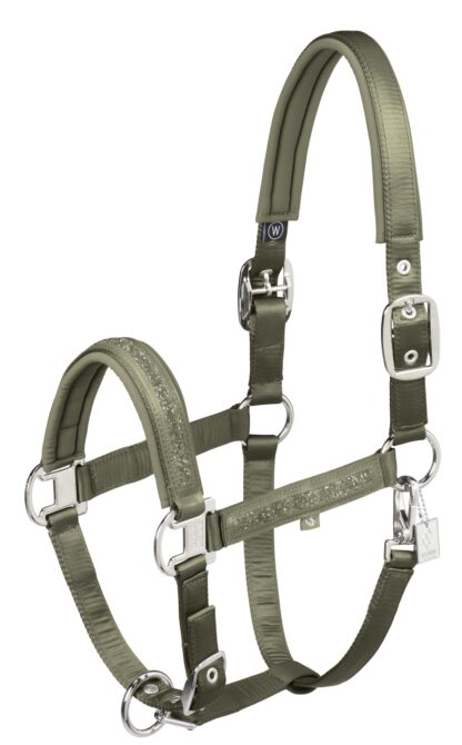 Halfter Mattgloss Jewel Double Pin Classic Sports 25 F/S *