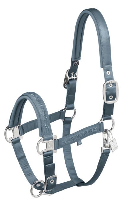 Halfter Mattgloss Jewel Double Pin Classic Sports 25 F/S *