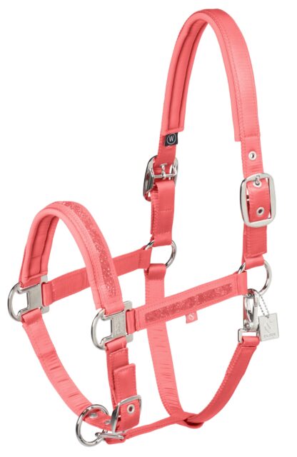 Halfter Mattgloss Jewel Double Pin Classic Sports 25 F/S *