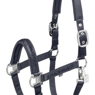 Halfter Mattgloss Jewel Double Pin Classic Sports 25 F/S *