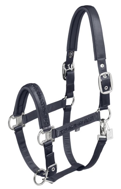 Halfter Mattgloss Jewel Double Pin Classic Sports 25 F/S *