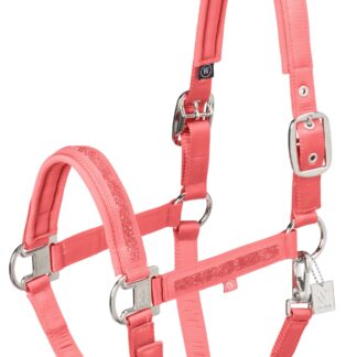 Halfter Mattgloss Jewel Double Pin Classic Sports 25 F/S *