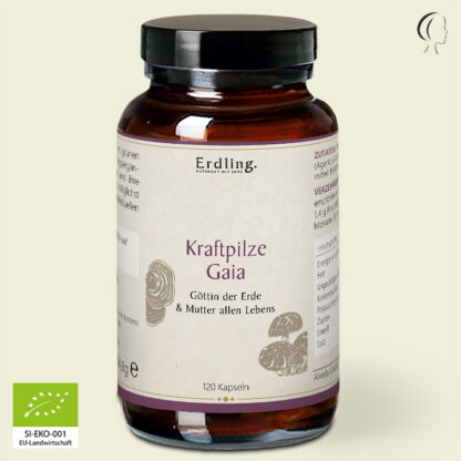 BIO Kraftpilze Gaia - Vitalpilz Synergetikum – 120 Kapseln *