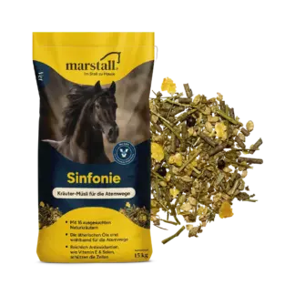 Marstall Sinfonie*