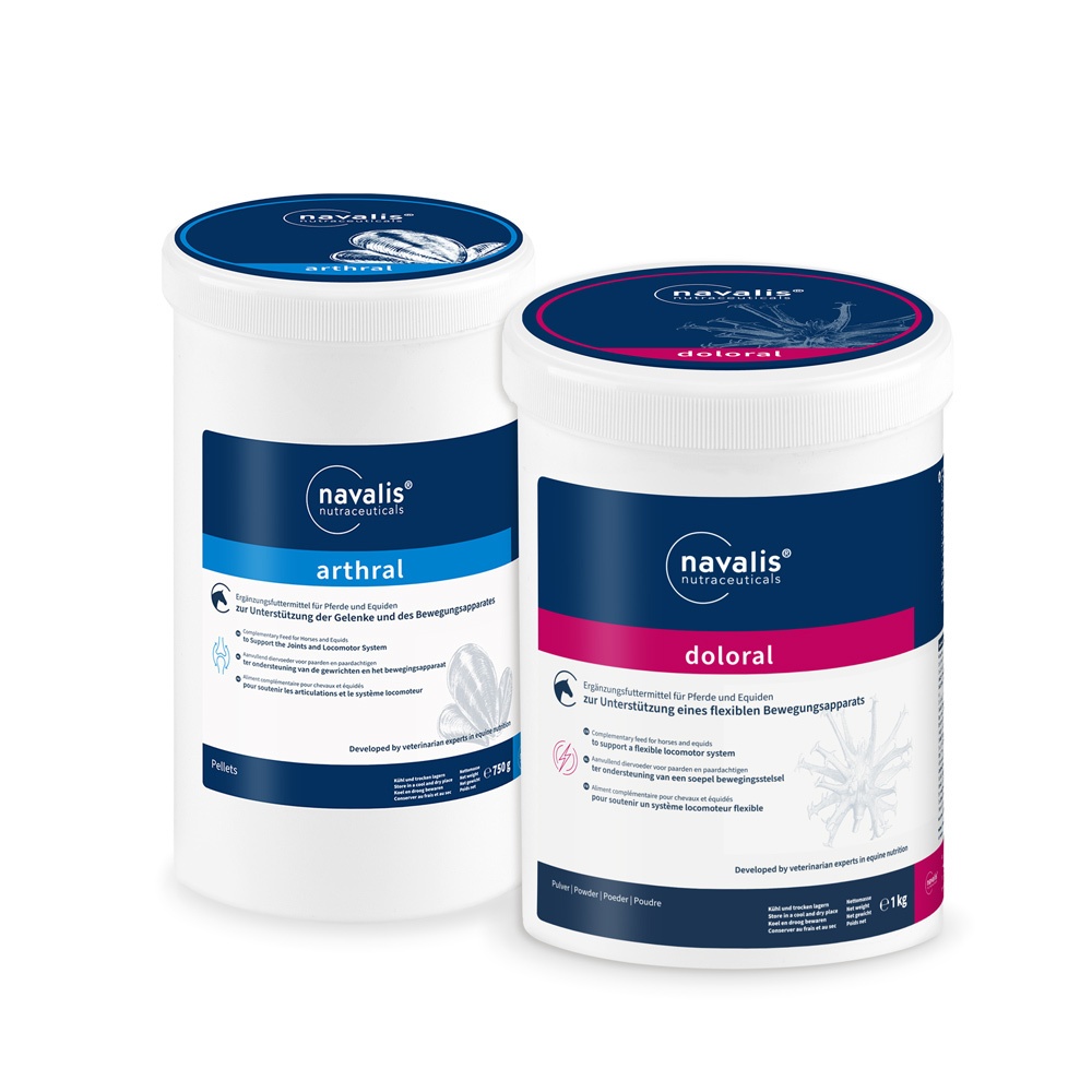 Navalis Bewegungs-Bundle*