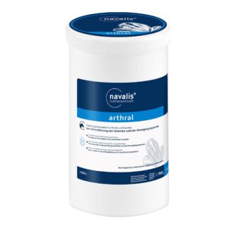 Navalis arthral horse*