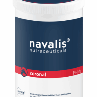 Navalis  coronal horse*