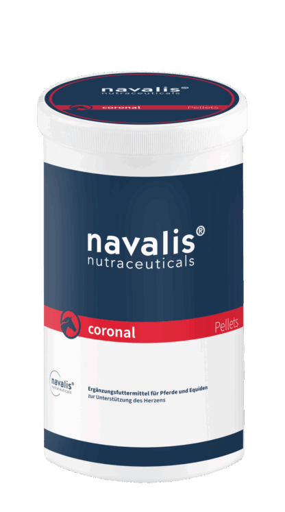 Navalis  coronal horse*