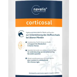 Navalis corticosal horse*