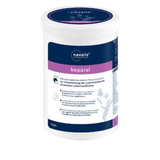 Navalis herparal horse*