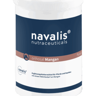 Navalis orthosal Mangan horse*