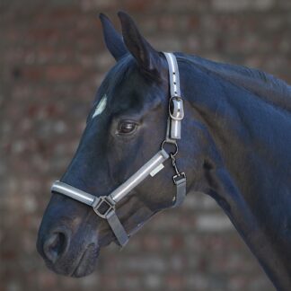 Reflex Halfter Stripe *