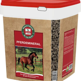 Salvana Pferdemineral*