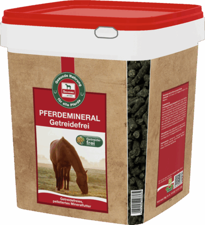 Salvana Pferdemineral*