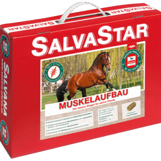 Salvana Salvastar Muskelaufbau 5kg*