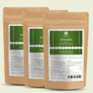 Set: 3er Pack - Arthridea – Die Göttin der Gelenke - Nachfüllpack 3x 300g *