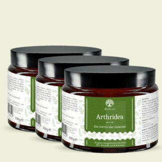 Set: 3er Pack - Arthridea – Die Göttin der Gelenke - Tiegel 3x 300g *