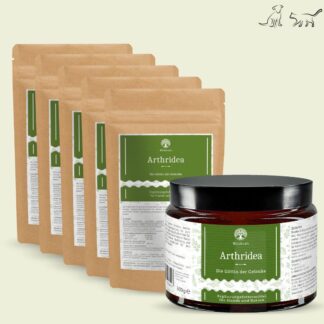 Set: 6er Pack - Arthridea - Die Göttin der Gelenke - Tiegel 1x 300g + Nachfül... *